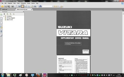 suzuki-tis.jpg